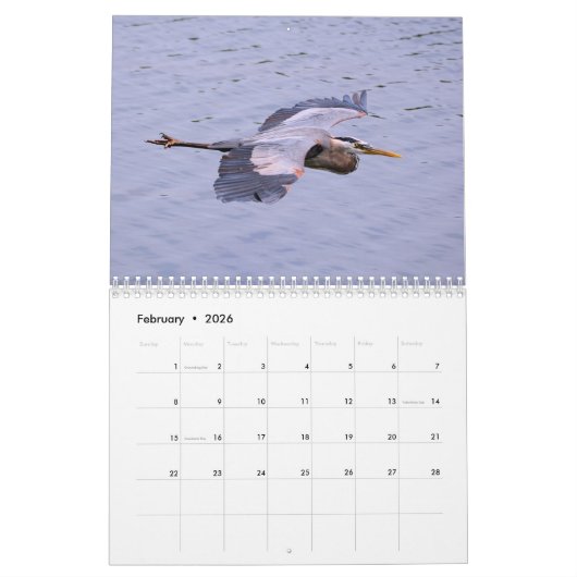 Herons Calendar Kalender (Feb 2026)