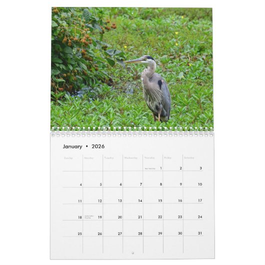 Herons Calendar Kalender (Jan 2026)