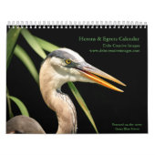 Herons en Egrets 2026 Kalender (Hoes)