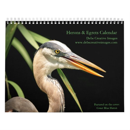 Herons en Egrets 2026 Kalender (Hoes)