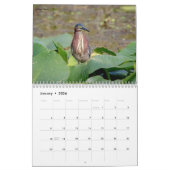 Herons en Egrets 2026 Kalender (Jan 2026)