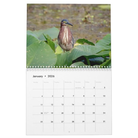 Herons en Egrets 2026 Kalender (Jan 2026)