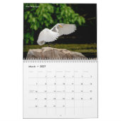 Herons en Egrets 2026 Kalender (Mar 2027)