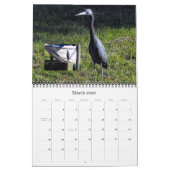 Herons Groot en Klein Kalender (Mar 2026)