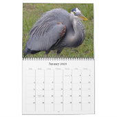 Herons Groot en Klein Kalender (Jan 2026)