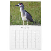 Herons Groot en Klein Kalender (Feb 2026)