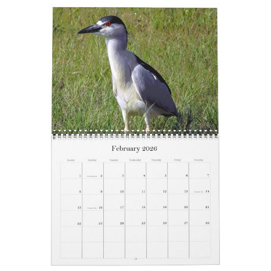 Herons Groot en Klein Kalender (Feb 2026)