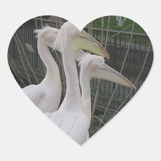 Herons Heart Sticker (Voorkant)