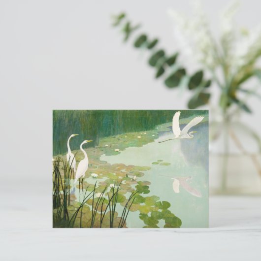 Herons in de zomer door Newell Convers Wyeth Briefkaart (Staand voorkant)