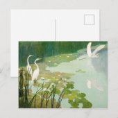 Herons in de zomer door Newell Convers Wyeth Briefkaart (Voorkant / Achterkant)