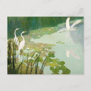 Herons in de zomer door Newell Convers Wyeth Briefkaart