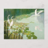 Herons in de zomer door Newell Convers Wyeth Briefkaart (Voorkant)
