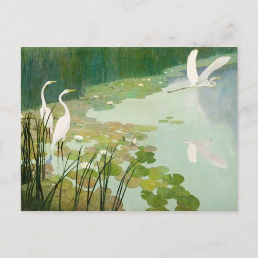 Herons in de zomer door Newell Convers Wyeth Briefkaart (Voorkant)