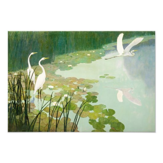 Herons in de zomer door Newell Convers Wyeth Foto Afdruk (Voorkant)