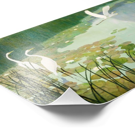 Herons in de zomer door Newell Convers Wyeth Foto Afdruk (Hoek)