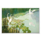 Herons in de zomer door Newell Convers Wyeth Foto Afdruk (Voorkant)