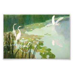 Herons in de zomer door Newell Convers Wyeth Foto Afdruk