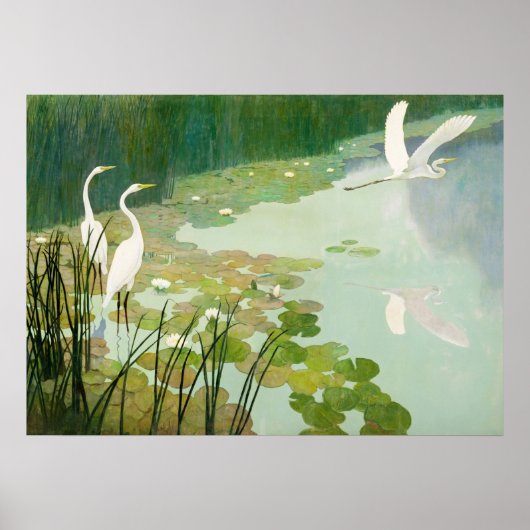Herons in de zomer door Newell Convers Wyeth Poster (Voorkant)