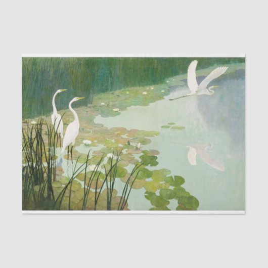 Herons in de zomer door Newell Convers Wyeth Tissuepapier (Voorkant)