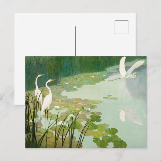 Herons in de zomer door Newell Convers Wyeth Uitnodiging Briefkaart (Voorkant / Achterkant)