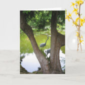 Herons Kaart (Gele Bloem)