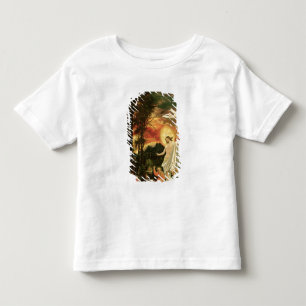 Heropleving van Christus, 1518 Kinder Shirts