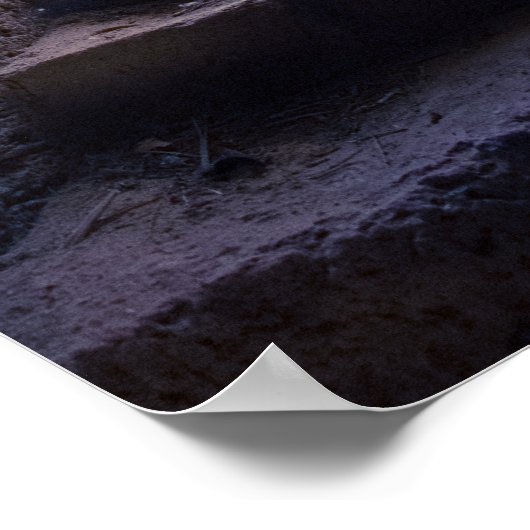 Heropleving van Jezus Christus Poster (Hoek)