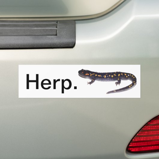 Herp. bumpersticker (salamanderversie) (Op auto)