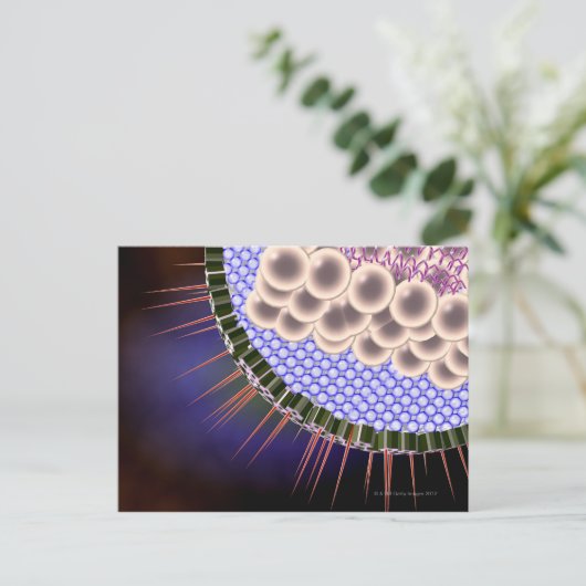 Herpes Virus Briefkaart (Staand voorkant)