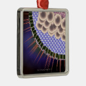Herpes Virus Metalen Ornament (Rechts)