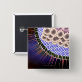 Herpes Virus Vierkante Button 5,1 Cm (Voorkant /achterkant)