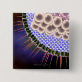 Herpes Virus Vierkante Button 5,1 Cm (Voorkant)