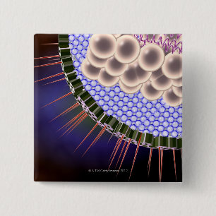 Herpes Virus Vierkante Button 5,1 Cm