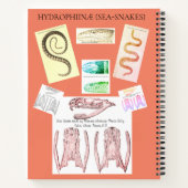 Herpetologie Notitieboek (Achterkant)