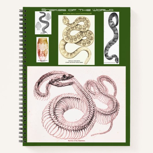 Herpetologie Notitieboek (Voorkant)