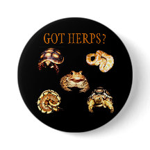 Herps Button