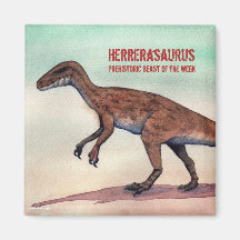 Herrerasaurus magneet