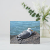 Herring Gull op Rock Jetty Briefkaart (Staand voorkant)