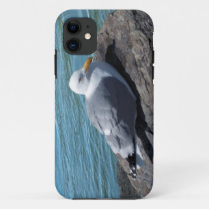 Herring Gull op Rock Jetty Case-Mate iPhone Case