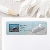 Herring Gull Resting on Rock Jetty: Etiket (Insitu)