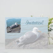 Herring Gull Resting on Rock Jetty: Kaart (Staand voorkant)