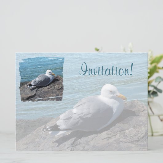 Herring Gull Resting on Rock Jetty: Kaart (Staand voorkant)