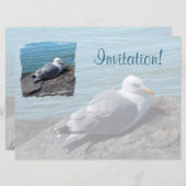 Herring Gull Resting on Rock Jetty: Kaart (Voorkant / Achterkant)