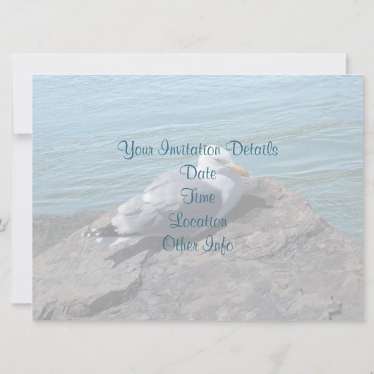 Herring Gull Resting on Rock Jetty: Kaart (Achterkant)