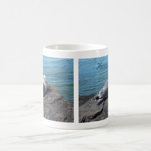 Herring Gull Resting on Rock Jetty: Koffiemok (Center)