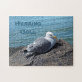 Herring Gull Resting on Rock Jetty: Legpuzzel (Horizontaal)