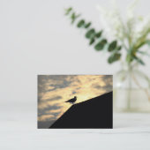 Herring Gull Sunset Visitekaartje (Staand voorkant)