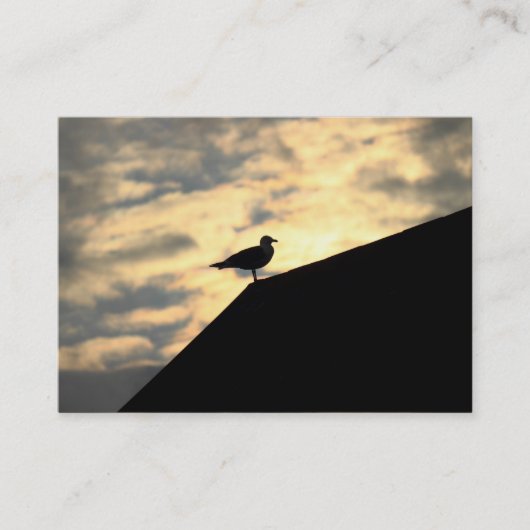 Herring Gull Sunset Visitekaartje (Voorkant)