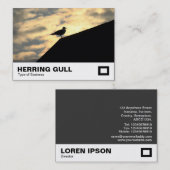 Herring Gull Sunset Visitekaartje (Voorkant / Achterkant)