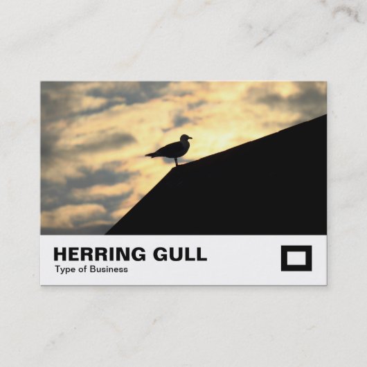Herring Gull Sunset Visitekaartje (Voorkant)